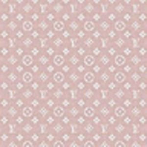 Meet your Posher, Shamila